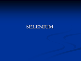 Slides - Selenium IDE