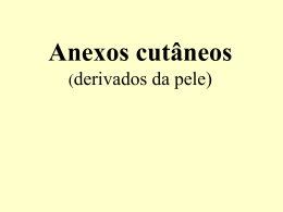 Anexos cutâneos (derivados da pele)