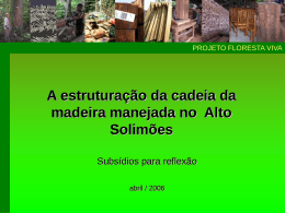 A estruturação da cadeia da madeira manejada no Alto Solimões