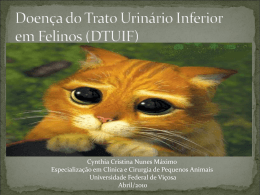 Doença do Trato Urinário Inferior em Felinos (DTUIF)