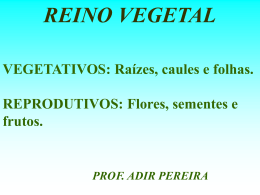 Organologia_Vegetal_TIPOS_VEGETAIS_turma_201