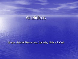 Anelídeos Grupo: Gabriel Bernardes, Izabella, Lívia e Rafael
