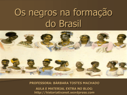 formação sócio-cultural brasileira