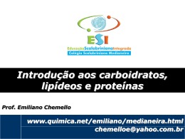energia+carboidratos+proteinas_site