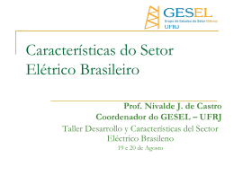 Prof. Nivalde J. de Castro Coordenador do GESEL – UFRJ