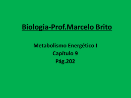 Biologia-Prof.Marcelo Brito