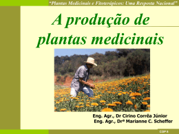 Plantas Medicinais e Fitoterápicos: Uma Resposta Nacional
