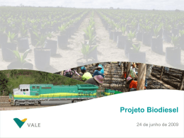 Projeto Biodiesel