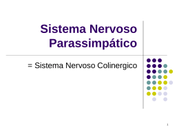 Sistema Nervoso Parasimpático