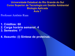 2. Tradução. - Professor Antônio Ruas