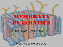 Membrana Plasmática - 1º ano EM