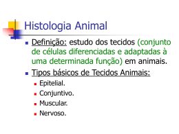 Histologia Animal - IF