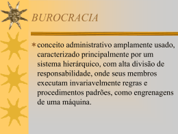 BUROCRACIA - Capital Social Sul