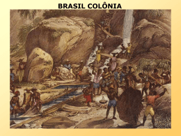 brasil colônia século do ouro e expansão territorial (xviii)