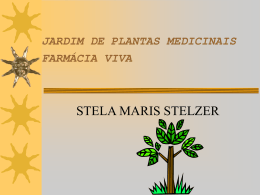 JARDIM DE PLANTA MEDICINAIS FARMÁCIA VIVA