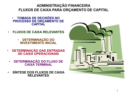 PRINCÍPIOS DE FLUXOS DE CAIXA E ORÇAMENTO DE CAPITAL