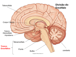 Neuroanatomia aula 2 - Anatomia