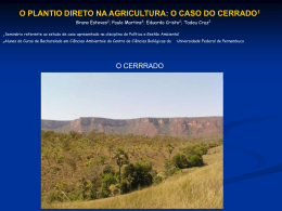 Plantio direto - Universidade Federal de Pernambuco