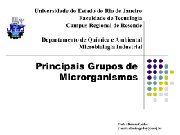 Principais grupos de microrganismos