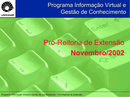 Programa Informação Virtual e Gestão de