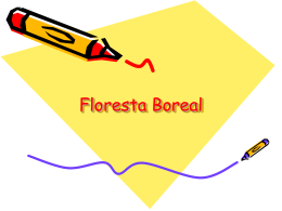 Floresta Boreal - escolafilintomuller