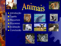 Animais Domésticos vs Animais Selvagens