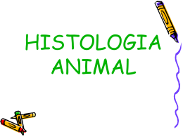HISTOLOGIA ANIMAL aula 10