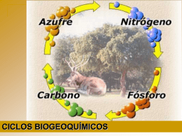 ciclos biogeoquímicos - Universidade Federal de Campina Grande