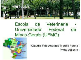 UFMG Brasil