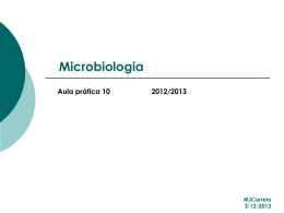 Micro aula 10 - Análise dos resultados do PCR