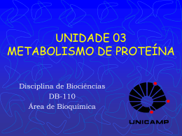 T10 - Biossíntese de Proteínas