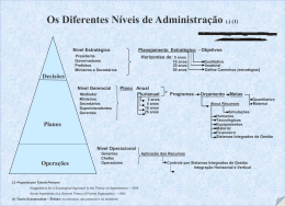 Os Diferentes Níveis da Organização. (Estratégico, Gerencial e
