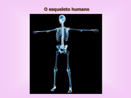 Esqueleto Humano - Colégio Machado de Assis