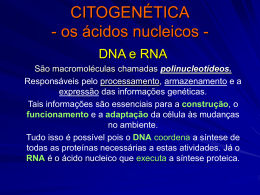 CITOGENÉTICA - os ácidos nucleicos -