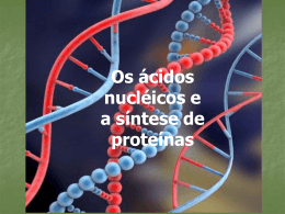Os ácidos nucléicos e a síntese de proteínas