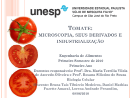 tomate: microscopia, seus derivados e industrialização