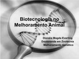 Biotecnologia no Melhoramento Animal Dionéia Magda