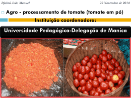 processamento de tomate (tomate em pó)