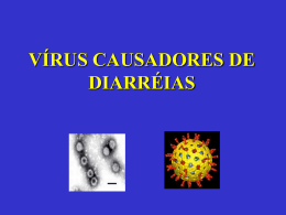 Vírus (67% dos casos)