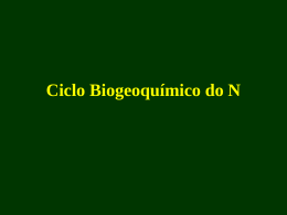 Cap3e4_Ciclo Biogeoquímico do N