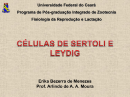 As células de Sertoli - Universidade Federal do Ceará