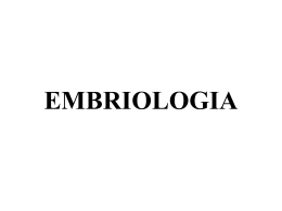 EMBRIOLOGIA