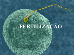 3. Ligação do espermatozóide à zona pelúcida
