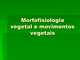 Capítulo 9.0 Morfofisiologia vegetal e movimentos