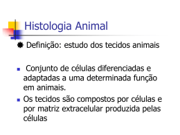 Histologia Animal - Universidade Castelo Branco