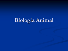 Capítulo 8 Biologia animal