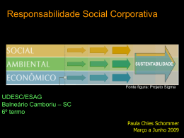 Completo - UDESC-ESAG - 2009-1