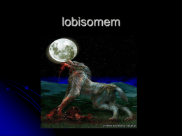 lobisomem - portifolioescolaangelina