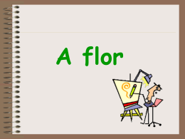 Flor - Ajuda alunos