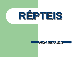 RÉPTEIS - Ser Digital